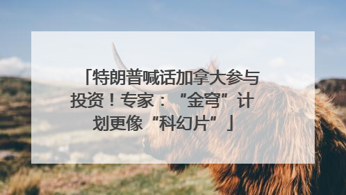 特朗普喊话加拿大参与投资！专家：“金穹”计划更像“科幻片”