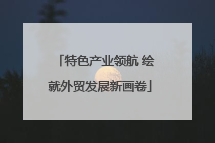 特色产业领航 绘就外贸发展新画卷