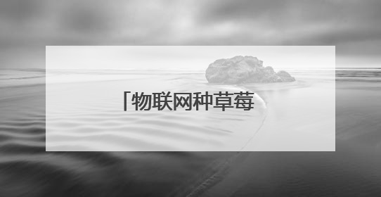 物联网种草莓 大数据卖黄瓜 临沂“四雁孵化”工程链动乡村共富
