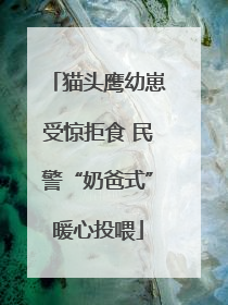 猫头鹰幼崽受惊拒食 民警“奶爸式”暖心投喂
