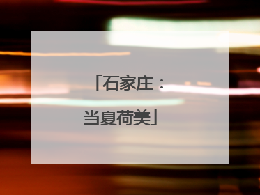 石家庄：当夏荷美