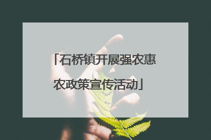 石桥镇开展强农惠农政策宣传活动