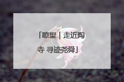 瞭望｜走近陶寺 寻迹尧舜