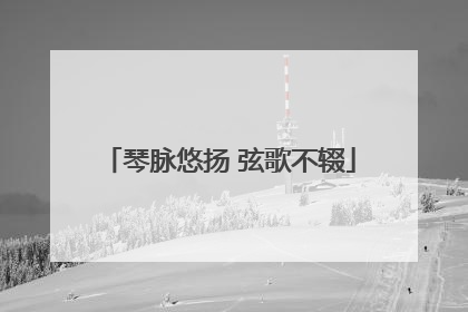 琴脉悠扬 弦歌不辍