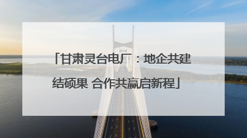 甘肃灵台电厂：地企共建结硕果 合作共赢启新程