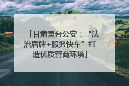 甘肃灵台公安：“法治盾牌+服务快车”打造优质营商环境