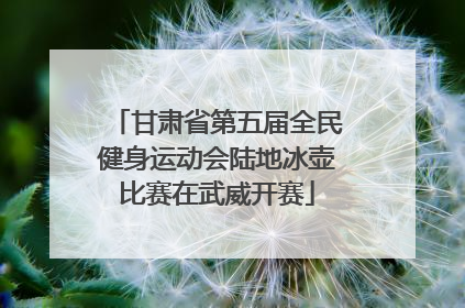 甘肃省第五届全民健身运动会陆地冰壶比赛在武威开赛