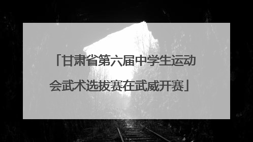 甘肃省第六届中学生运动会武术选拔赛在武威开赛