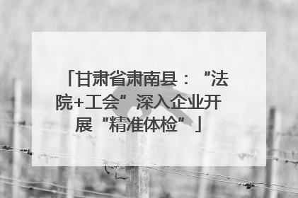 甘肃省肃南县：“法院+工会”深入企业开展“精准体检”