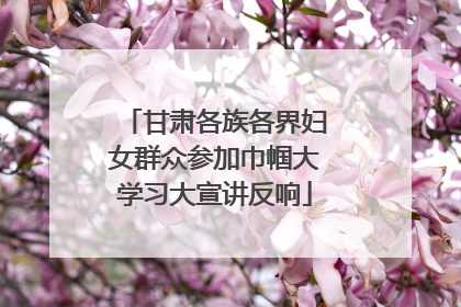 甘肃各族各界妇女群众参加巾帼大学习大宣讲反响