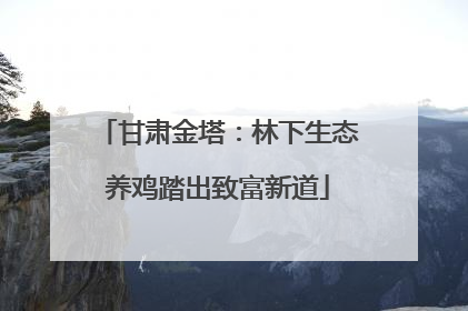 甘肃金塔：林下生态养鸡踏出致富新道