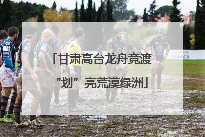 甘肃高台龙舟竞渡“划”亮荒漠绿洲
