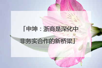 申坤：浙商是深化中非务实合作的新桥梁