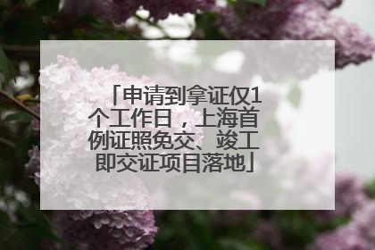 申请到拿证仅1个工作日，上海首例证照免交、竣工即交证项目落地