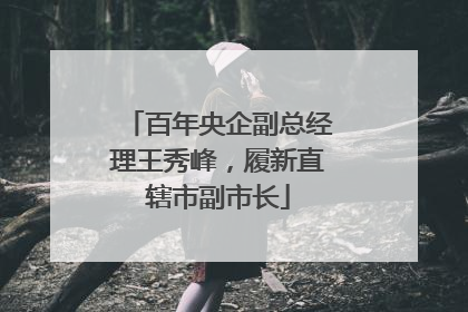 百年央企副总经理王秀峰，履新直辖市副市长