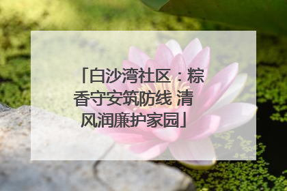 白沙湾社区：粽香守安筑防线 清风润廉护家园