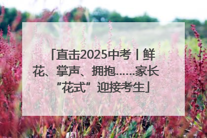 直击2025中考丨鲜花、掌声、拥抱……家长“花式”迎接考生