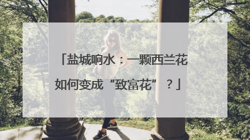 盐城响水：一颗西兰花如何变成“致富花”？