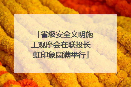 省级安全文明施工观摩会在联投长虹印象圆满举行