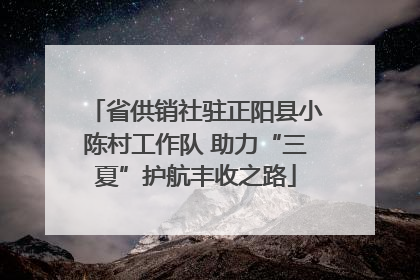 省供销社驻正阳县小陈村工作队 助力“三夏”护航丰收之路