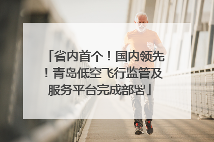省内首个！国内领先！青岛低空飞行监管及服务平台完成部署