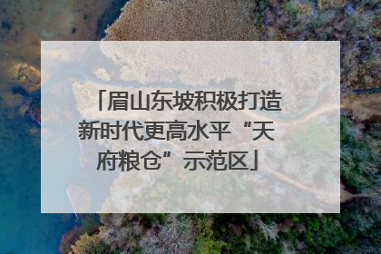 眉山东坡积极打造新时代更高水平“天府粮仓”示范区