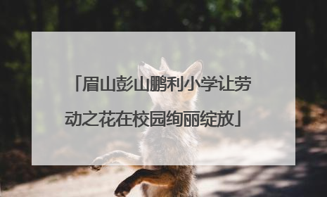 眉山彭山鹏利小学让劳动之花在校园绚丽绽放