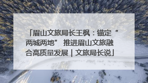 眉山文旅局长王枫：锚定“两城两地” 推进眉山文旅融合高质量发展｜文旅局长说
