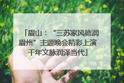 眉山：“三苏家风德润眉州”主题晚会精彩上演千年文脉润泽当代