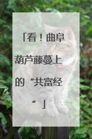 看！曲阜葫芦藤蔓上的“共富经”