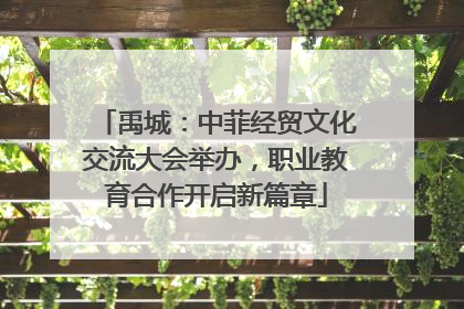 禹城：中菲经贸文化交流大会举办，职业教育合作开启新篇章
