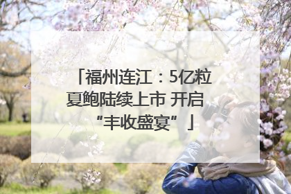 福州连江：5亿粒夏鲍陆续上市 开启“丰收盛宴”