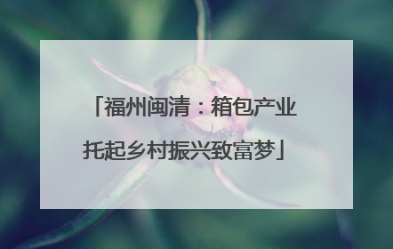 福州闽清：箱包产业托起乡村振兴致富梦