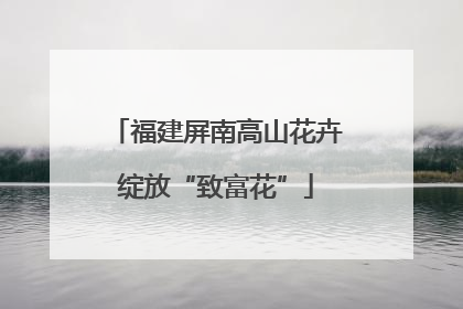 福建屏南高山花卉绽放“致富花”