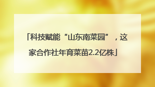 科技赋能“山东南菜园”，这家合作社年育菜苗2.2亿株