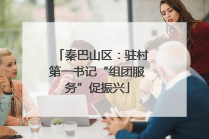 秦巴山区：驻村第一书记“组团服务”促振兴