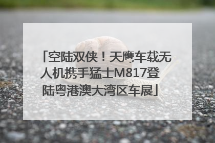 空陆双侠！天鹰车载无人机携手猛士M817登陆粤港澳大湾区车展