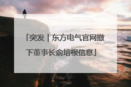突发｜东方电气官网撤下董事长俞培根信息