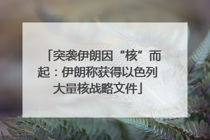 突袭伊朗因“核”而起：伊朗称获得以色列大量核战略文件
