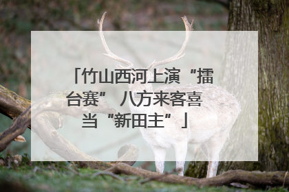 竹山西河上演“擂台赛” 八方来客喜当“新田主”