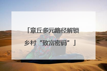 章丘多元路径解锁乡村“致富密码”