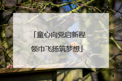 童心向党启新程 领巾飞扬筑梦想