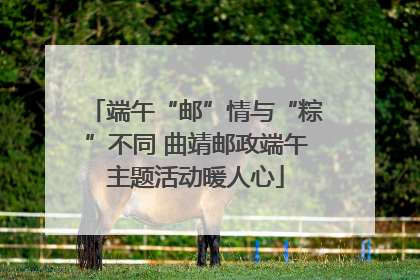 端午“邮”情与“粽”不同 曲靖邮政端午主题活动暖人心