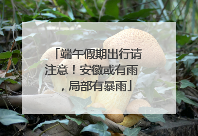 端午假期出行请注意！安徽或有雨，局部有暴雨
