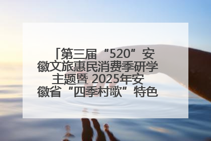 第三届“520”安徽文旅惠民消费季研学主题暨 2025年安徽省“四季村歌”特色展演燃动池州