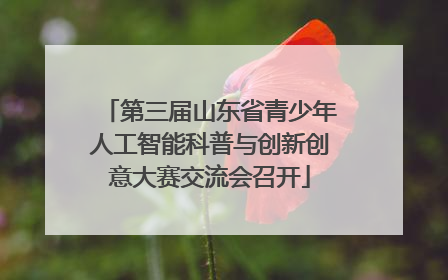 第三届山东省青少年人工智能科普与创新创意大赛交流会召开