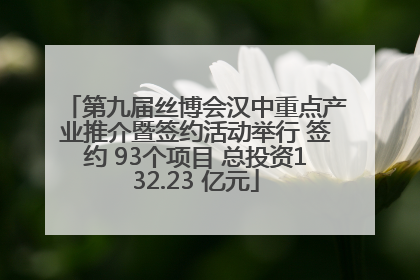 第九届丝博会汉中重点产业推介暨签约活动举行 签约 93个项目 总投资132.23 亿元
