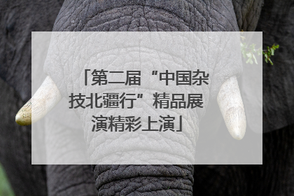第二届“中国杂技北疆行”精品展演精彩上演