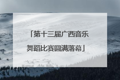 第十三届广西音乐舞蹈比赛圆满落幕