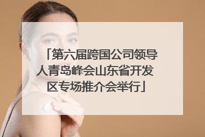 第六届跨国公司领导人青岛峰会山东省开发区专场推介会举行
